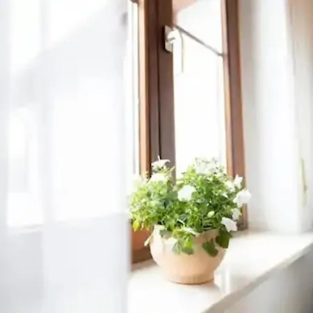 דירה Ferienwohnung Nr 4 Im Gemutlichen Gastehaus Benedikt